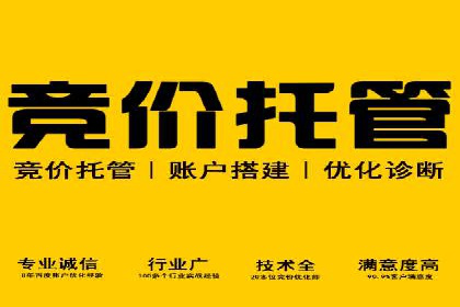 SEM推广实战：案例分析及效果评估
